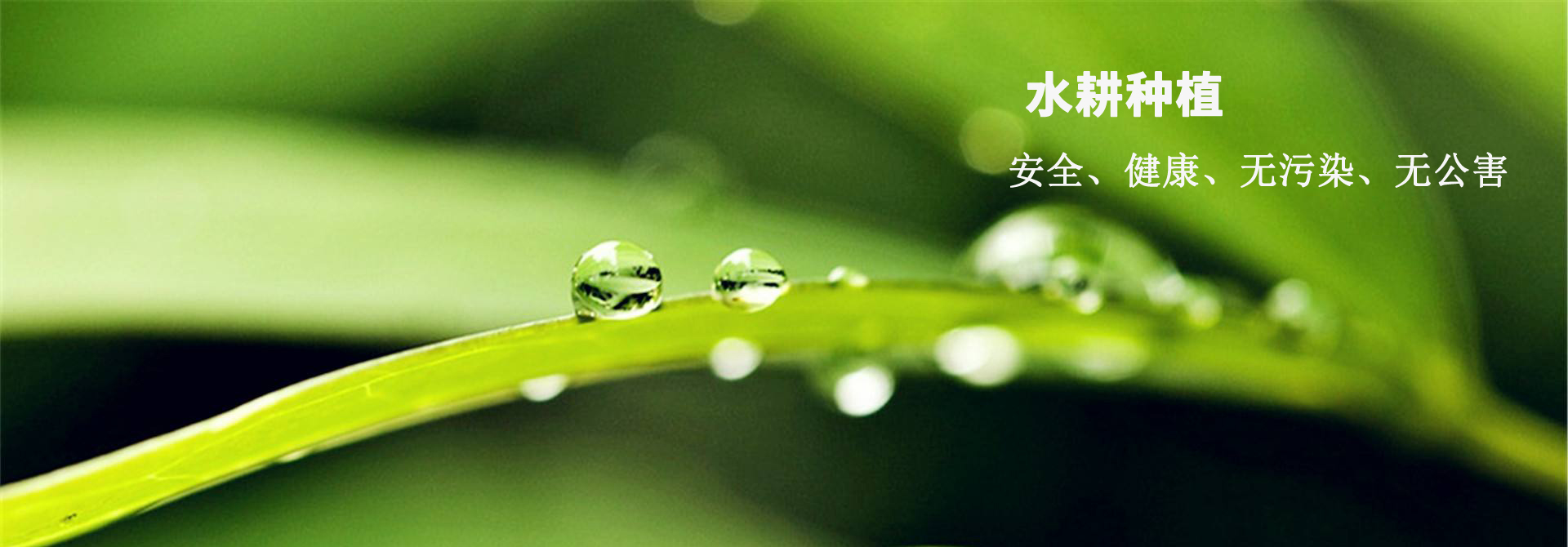&#27431;&#23453;&#32593;&#39029;&#29256;&#30331;&#24405;&#20837;&#21475;&#45;&#27431;&#23453;&#40;&#20013;&#22269;